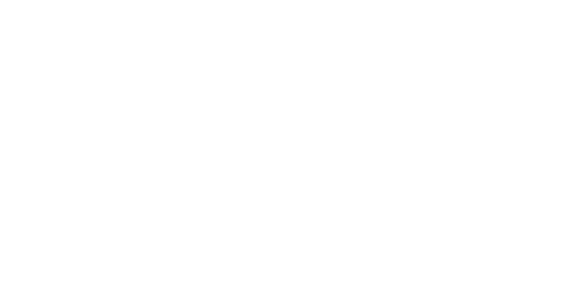 logobossa